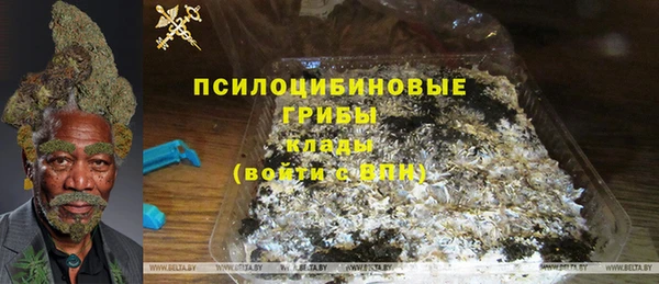 дурь Алзамай